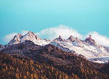 开云体育-F1土耳其站雨中乱斗赛点突围 维斯塔潘痛失杆位